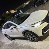 شانجان • ٢٠١٩ • مرقمة أربيل