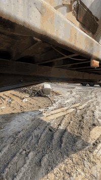 عربانه علم 2006 تخم تاير ***********
