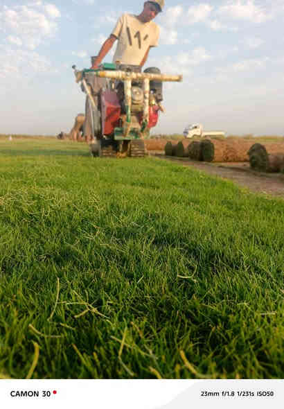 أنواع الثيل عدنه وبأسعار تنافسيه رقم الهاتف ***********يوجد خدمت توصيل ل باب البيت
