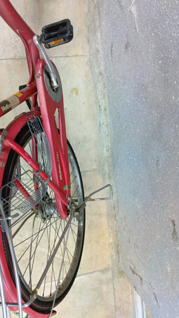 بايسكل بناتي برجستون نضيف للبيع سعره 65بي مجال مكان الطوبجي


**إذا كنت صاحب هذا الإعلان وتريد حذفه لأي سبب، رجاءا أرسل رسالة إلى الدعم الفني**