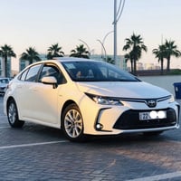 كورلا هايبرد • ٢٠٢٥ • رقم اربيل