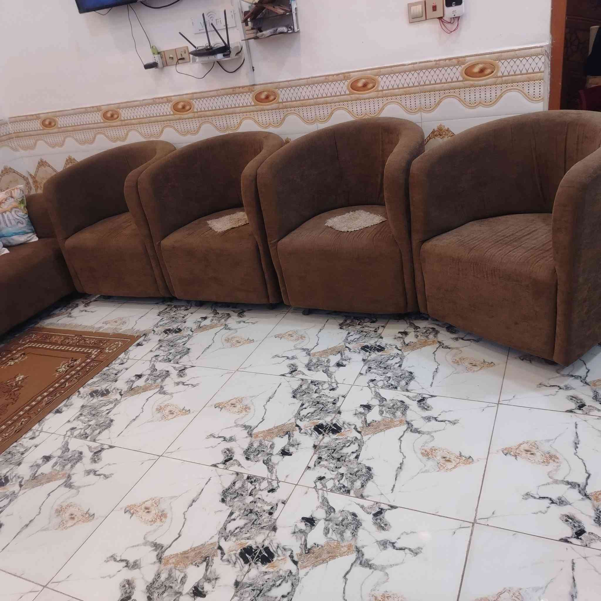 تخم ونص للبيع صارله ٤ أشهر كل تفاصيل بل مقطع فيديو شوفه مقطع وتصل  سعر ٧٥٠ بي مجال لا اكو مراوس كون أزغر منه عادي راوس ***********

