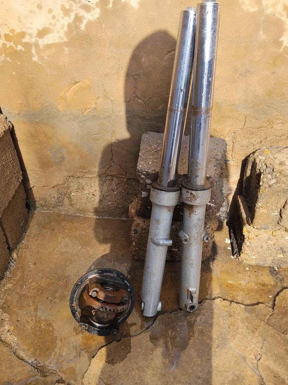 دبلات ستوته أم الطير جعمقه أكسل أم الطير  ***********
