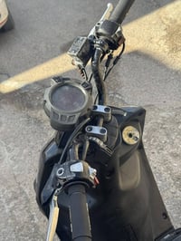 سكنس جبلي • رمبة • مكفوله