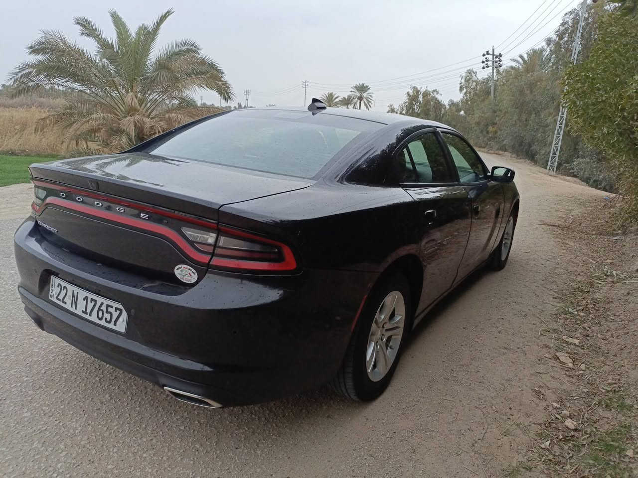 جارجار 2023بيع أو مراوس بسمي الشراي يتصل على رقم ***********
