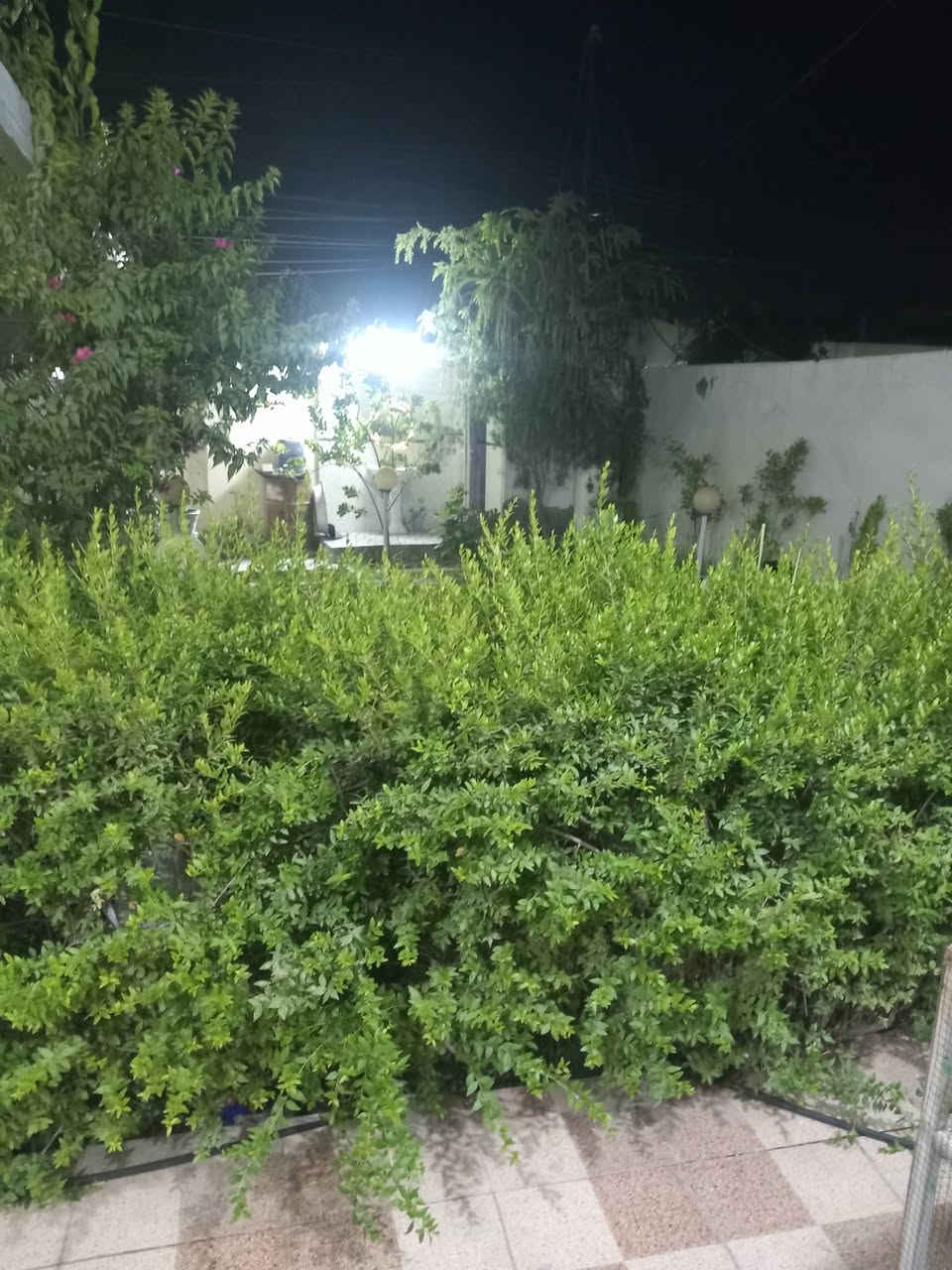 السلام عليكم دار مساحتة ٤٣٠ متر للبيع مكانة الشارع التجاري العريض شارع ابو فراس السمكري  بين حي الاسرى ويين الحي العسكري الدار شارع امامي وشارع خلفي مجاري ماء خطين بناء حديث طابق واحد غرفتين وصاله كبيره جدا واستقبال ومطبخ ومجمع صحيات وحديقتين امامية وخلفية الاستفسار الاتصال على الرقم ***********
