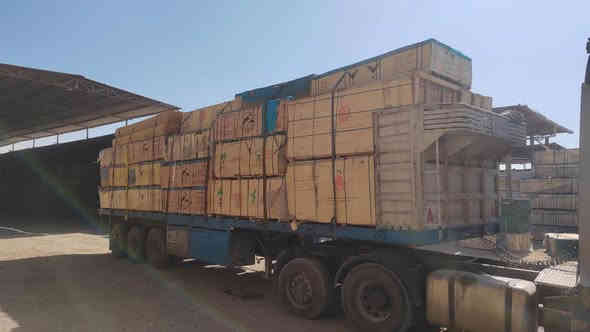 صح نجاجير بس(( وفرنا للنجار واصحاب  المعارض  )) 
الي يحتاجه واسعار تنافسيه جداا جداا 
بعيدا عن الغرف و الصبغ الصاجي 
اليوم وفرنالكم معاكس و خشب                          بأنسب الاسعار جمله و مفرد  
عنوان ( الشطره قرب سوك غازي باداره عباس و زيد 

الرقم(( ***********)) زيد العبودي
