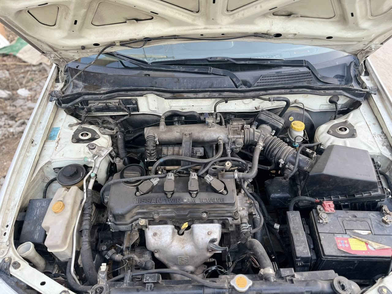 سلام عليكم نيسان سني كوري  مديل 12 محرك جان 1600 سويته  محرك 1800ياباني   جديد كير جديد بدون حادث بس شويه صبغ مثل ما موضح بل سونار    احمر معجون وصبغ و الاخضر بس صبغ رش 
تبريد شغال حداديه 90 بل 100 سياره كلش نضيفه 
مكاني كربلاء السفسار تصل على الرقم ***********
سعره120 وبيه مجال 
‭0772 929 8657‬
