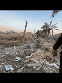 من رخصة الادمن 

ارض مساحة 1950م مع بيت مساحته 300 البيت كامل من الداخل فقط الواجهة العنوان ابو الخصيب —> البهادرية طابو زراعي ملك صرف للأستفسار ‭0770 708 3599‬

ملاحظة : اعادة النشر بسبب الوعود الكاذبة
