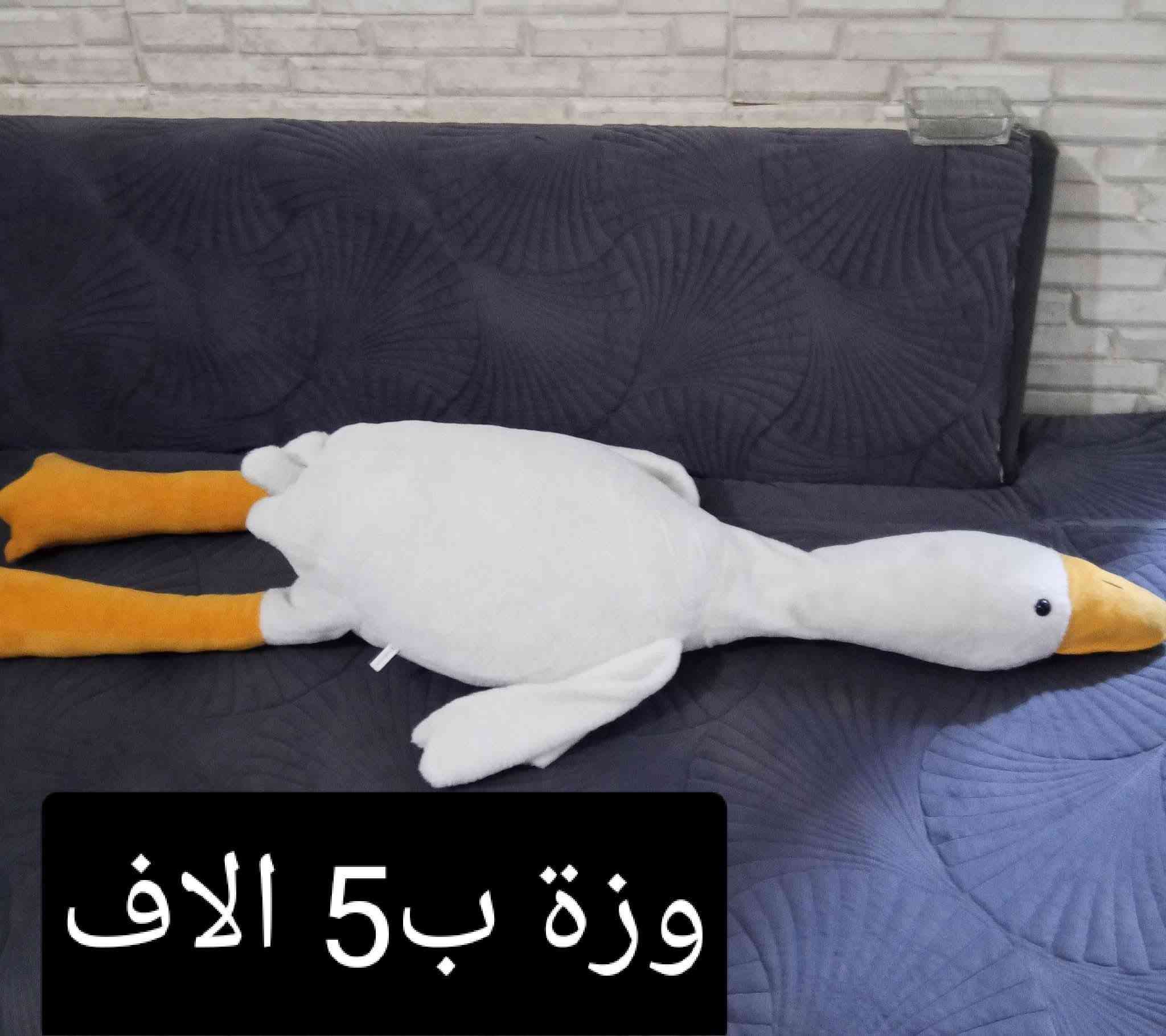 متوفر توصيل 5 الاف لكل محافظات العراق


**إذا كنت صاحب هذا الإعلان وتريد حذفه لأي سبب، رجاءا أرسل رسالة إلى الدعم الفني**