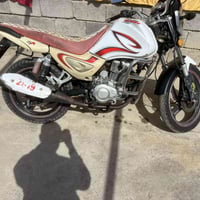 سنكي ١٩ للبيع السعر ٥٠٠ للاستفسار ٠٧٨٢٤٦١٢٢٥٩