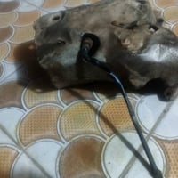 كير اوتماتيك دمعه شرط الشغل كامل هو وتورباين وحساساته اليحتاج يتصل 077...