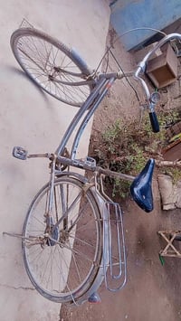 باسكل ياباني • العلكايه • قابل تفاوض