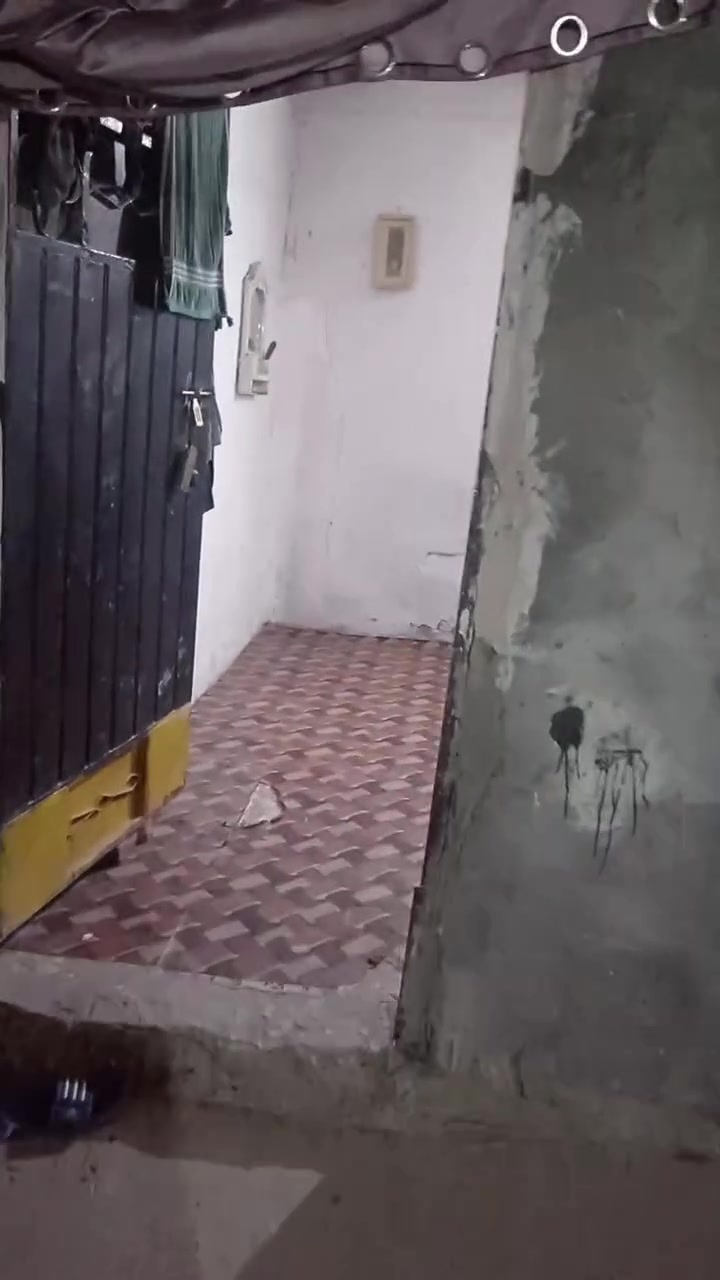 مرخصت ادمن بيت تجاوز  للبيع بثوره قرب علي حاتم الوكيل
***********
