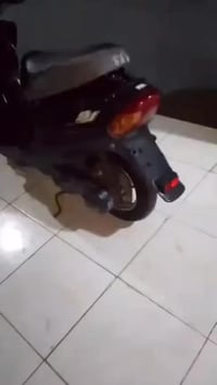 الحلال للبيع 🏍️                                                       ...