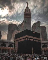 عمرة رمضان • شركة نور الفرات • الفلوجة مقابل جامع التقوى