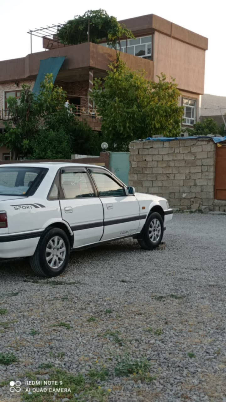 مازده ئارم هه وليره ٨به خ زؤرجوانه سعري 30گه لامعامه له ***********
