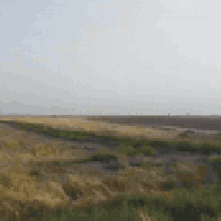 فلوجة • ٨٥ دونم • ارض زراعي