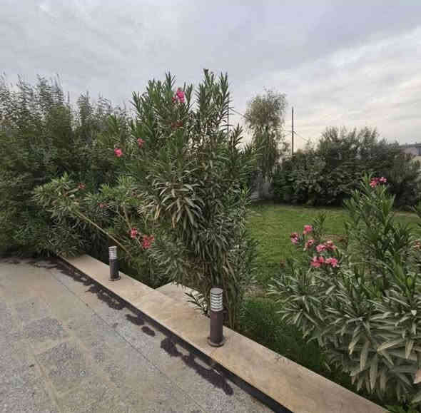 🏛️✨ شركة محمد للاستثمار العقاري ✨🏛️
📢 للبيع | فيلا ملكية بتصميم روماني فاخر في أبو الخصيب 📢

━━━━━━━━━━━━━━━━━━━

🔑 تفاصيل العقار:
📍 الموقع: أبو الخصيب – موقع مميز وهادئ
📐 المساحة: 1400 متر مربع
📑 الطابو: ملك صرف زراعي – بسم عراقي
🏗️ البناء: حديث – تصميم روماني ملكي فاخر

━━━━━━━━━━━━━━━━━━━

🏡 مواصفات الفيلا:
✨ صالة استقبال فخمة
✨ 6 غرف نوم واسعة
✨ مطبخ مجهز
✨ مجموعة صحيات متكاملة
✨ غرفة حراسة مستقلة
✨ مسبح خاص وحديقة خضراء
✨ كراج واسع للسيارات

━━━━━━━━━━━━━━━━━━━

💰 سعر البيع: 850 مليون دينار عراقي 💰
🔥 فرصة نادرة لاقتناء فيلا ملكية بتصميم فاخر ومرافق متكاملة

━━━━━━━━━━━━━━━━━━━

🌟 مميزات العقار:
✅ تصميم روماني ملكي يمنح الفخامة والتميز
✅ مساحة كبيرة مع حديقة ومسبح خاص
✅ موقع هادئ مثالي للسكن الراقي
✅ بناء حديث وتشطيب عالي الجودة

━━━━━━━━━━━━━━━━━━━

📞 للتواصل مع محمد للاستثمار العقاري:
📲 *********** – واتساب مباشر
📲 *********** – الدليل العقاري
📲 *********** – خدمة العملاء
📲 *********** – تنظيم العمل

🏢 مكاتبنا:
📍 الطويسة – شارع اللجنة الأولمبية – قرب عصير تايم 🧃
📍 مناوي باشا – مقابل مطعم محمد هاشم 🍽️

📲 تابعونا على إنستغرام وفيسبوك | @moh_comp_basra
✨ محمد للاستثمار العقاري – حيث يبدأ التميز 🏆

━━━━━━━━━━━━━━━━━━━

#محمد_للاستثمار_العقاري #فيلا_للبيع #ابو_الخصيب #Basra #Iraq #عقارات_البصرة #سكن_فاخر #فرصة_استثمارية
