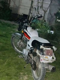 تايگر • ٢٠٢٠ • ثقيل