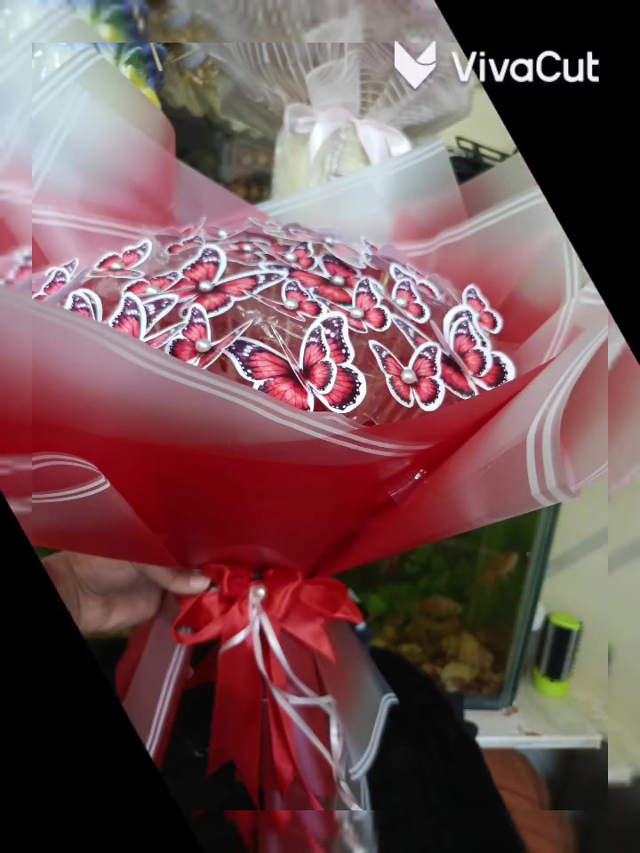 باقات الفراشات المميزه للهدايا Rorita Gifts


**إذا كنت صاحب هذا الإعلان وتريد حذفه لأي سبب، رجاءا أرسل رسالة إلى الدعم الفني**