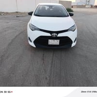 كورلا • ٢٠١٩ • بيجي