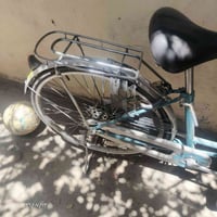 باسكل • حجم 26 • شاري قبل اسبوعين