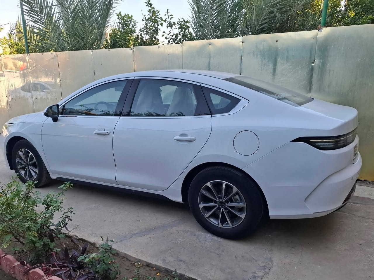 دستروير BYD زيرو مرقمة بغداد
يتوفر BYD زيرو صفر كيلومتر مرقمة بغداد تخلص من دوخة الترقيم وبنفس سعر السوق

بصمة وكارت وشاحنة مع كامل الملحقات 

السعر 💥 اتصل وتدلل مناسب 

للاستفسار ***********

مكاني النجف الاشرف
