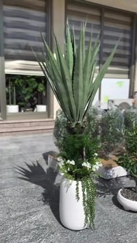 نباتات صناعية • سنادين فخمة • حي الحسين