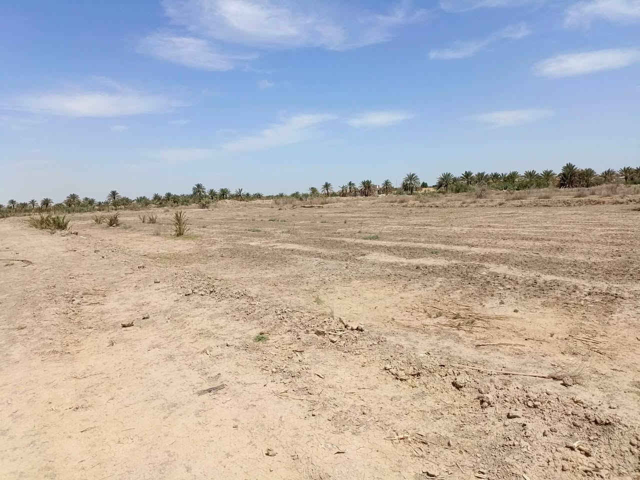 دونمين للبيع زراعي على شارعين نهايته قريت النصر عن البيوت تقريبن 200متر ماي وكهرباء متوفره ساكيه موجوده مايكطع بيها دوم الاستفسار ***********
