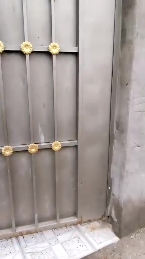 سلام عليكم ورحمة الله وبركاته مرخصت مدير لكروب مكلف بنشربيت متاح للبيع وصاحبه محتاج يريديبيعه 
بنزلت شارع عشرين ول فرع على اليمنه وثاني فرع عليسره 
وخومدخل له ثاني من مدرسه الرتقاءالهليه لي يريده يخابر على رقم *********** لبيت بدوانم
