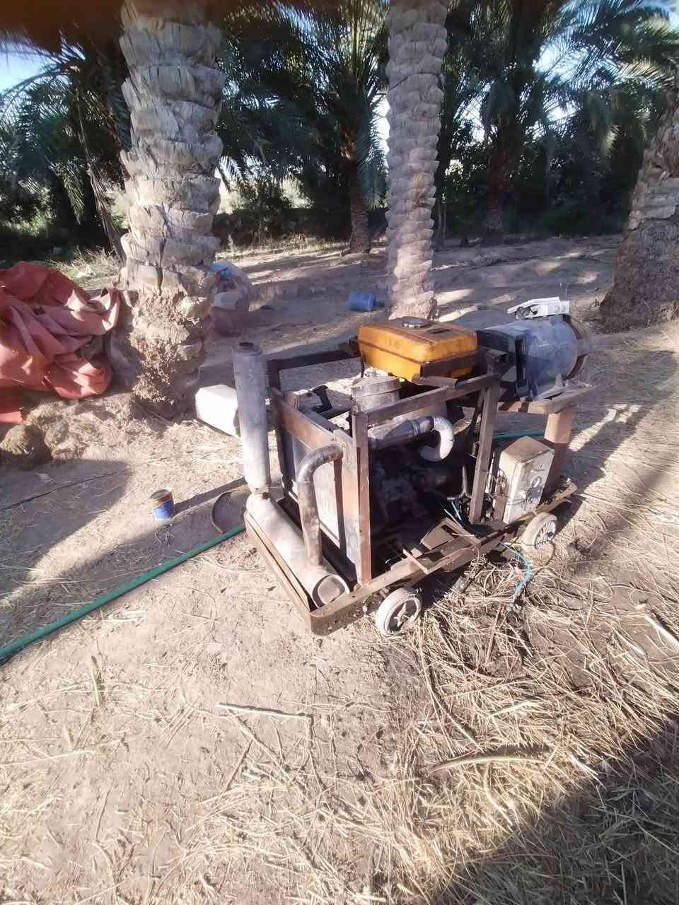 مكلف ب النشر مولده داهوسته ثلاثه بستم رقم الهاتف ***********العنوان مركز الديوانية
