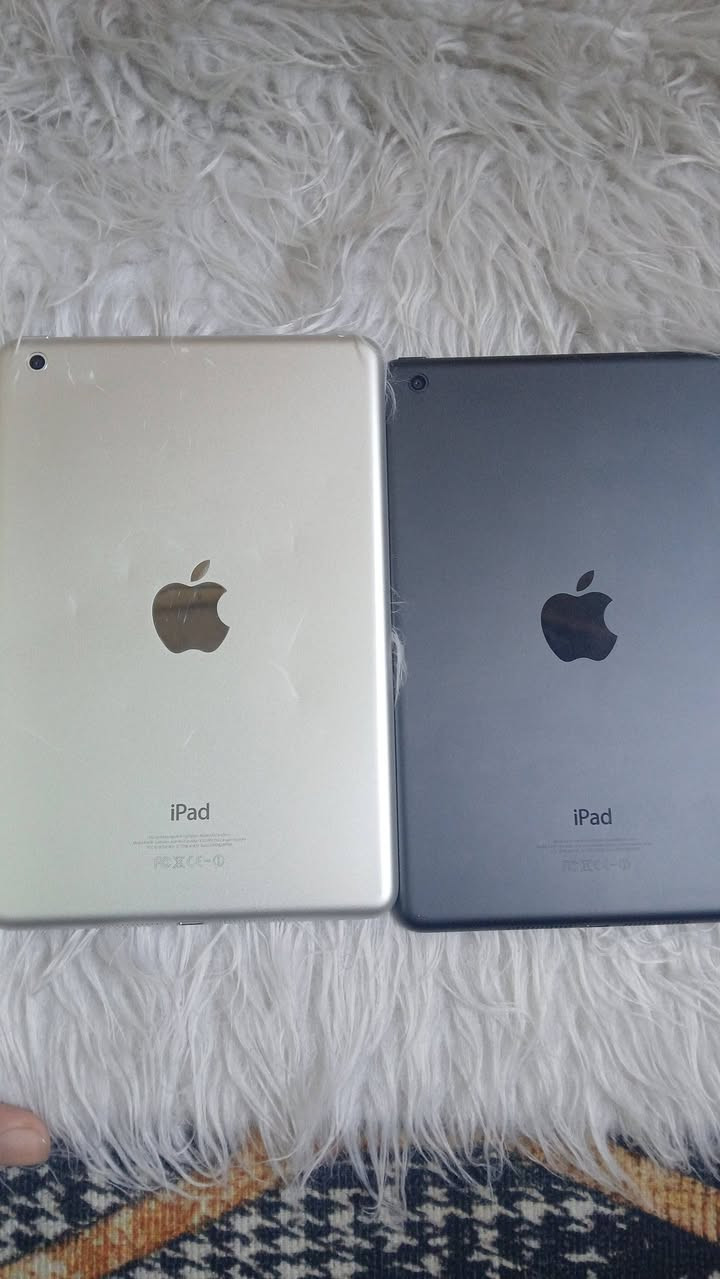 السعر ٣٥ الف


**إذا كنت صاحب هذا الإعلان وتريد حذفه لأي سبب، رجاءا أرسل رسالة إلى الدعم الفني**