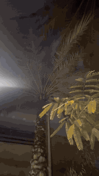 بريز رنبه • كفالة عامة • بغداد