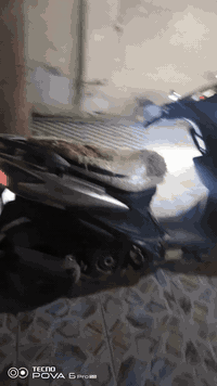 عندي ادرس صيني شغاله كله  كامل سلف  سعل250الف بيه مجال رقم ‏‪***********‬‏
