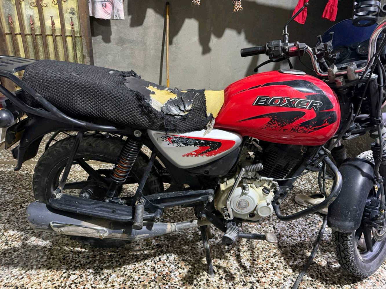 دراجه بوكسر 22 جبلي مجفته مره وحده تجفيت مضبوط ٪100 جاهزه نكره سلف السعر 1400
***********