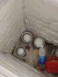 مجمدة • جديدة • بغداد