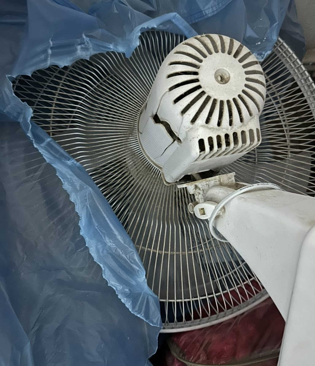 بنكات اثنين شغالات ب١٨ الف ماعدا قبق مكسور


**إذا كنت صاحب هذا الإعلان وتريد حذفه لأي سبب، رجاءا أرسل رسالة إلى الدعم الفني**