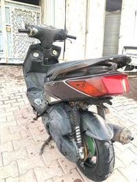 اعاده النشر بسبب لوعود الكاذبه سكنس فحل لبيع او مراوس الدراجه شلعه ومع...