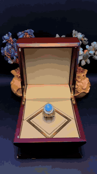 فيروز نيشابوري vip صياغه يدويه مطعمه بلماس  فخامة  القطعه تتكلم  خليكم...