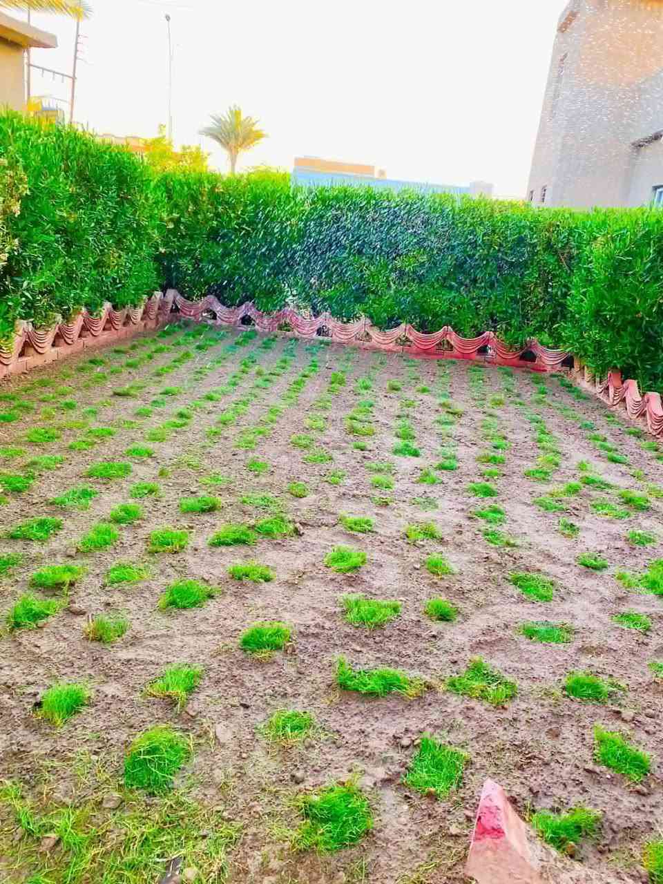 ⛔️يوجد كادر زراعه حدايق فرش زميج  ديكورات  اتصل وتبشر ***********

