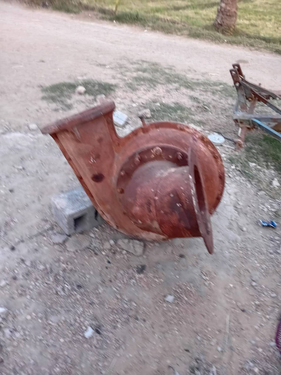 خنزيره الفايق الدجيلي/10/12 للبيع على هذا رقم ***********
