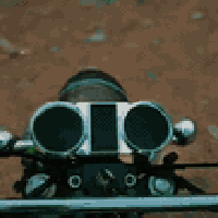 ستوته 22 • اوراق اصولي • منفيس مدفوع