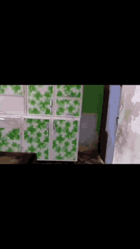 كلمن وسعره عنوان شارع الكص


**إذا كنت صاحب هذا الإعلان وتريد حذفه لأي سبب، رجاءا أرسل رسالة إلى الدعم الفني**