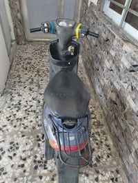 بيجي • فحل • نضيفه