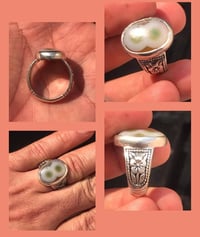 سليماني • أخضر • مقاس ٢٣