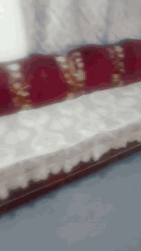 تخم البيع 10 قنفات السعر180رقم صاحبه 07829841815