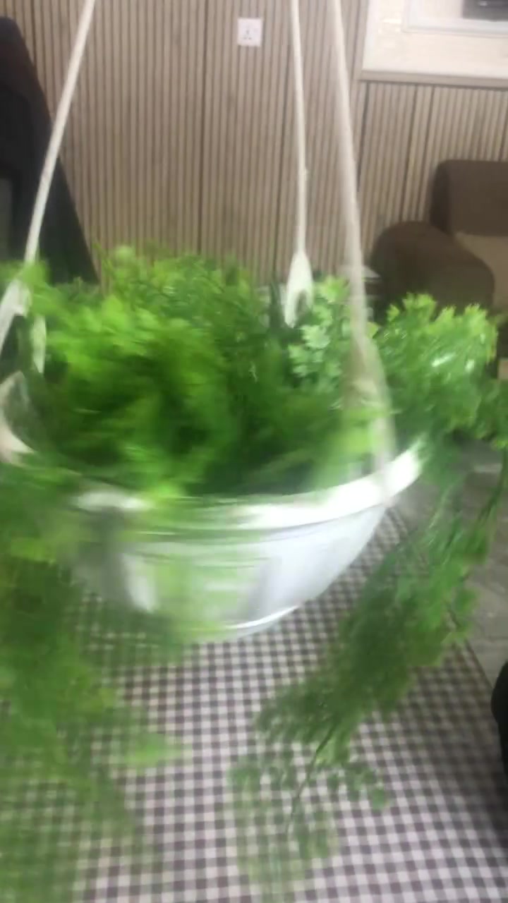 كل سنادانه ب٨جدد بغداد الشعب


**إذا كنت صاحب هذا الإعلان وتريد حذفه لأي سبب، رجاءا أرسل رسالة إلى الدعم الفني**