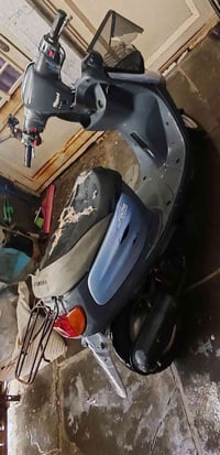 منغولي • شغالة • حديد