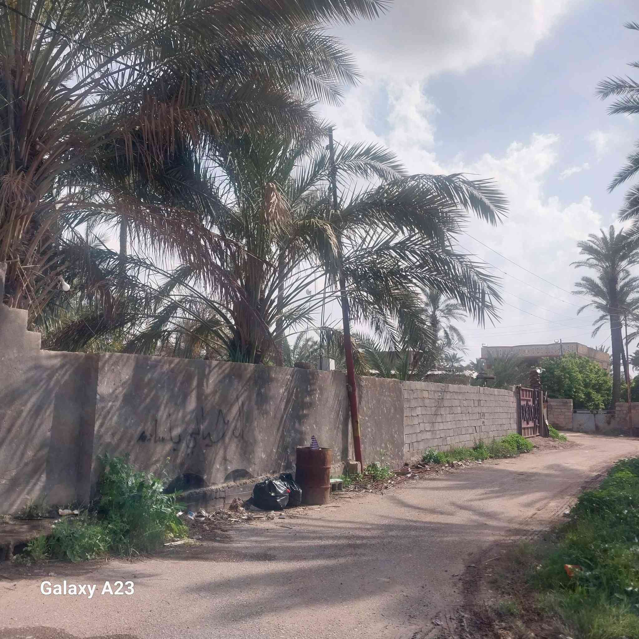 السلام عليكم ورحمة الله وبركاته بيت مع شقة و5محلات  وقطعة ارض خلف البيت مساحة 500متر للبيع سند 25 المكان بغداد العبايجي محيريجات على الشارع الرئيسي الاستفسار ***********
